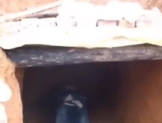 为什么做梦连续梦到死人(为什么做梦连续梦到死人还活着)