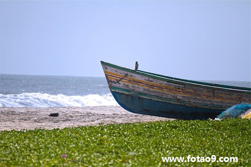 为什么一直梦到带小孩(为什么一直梦到带小孩回家)