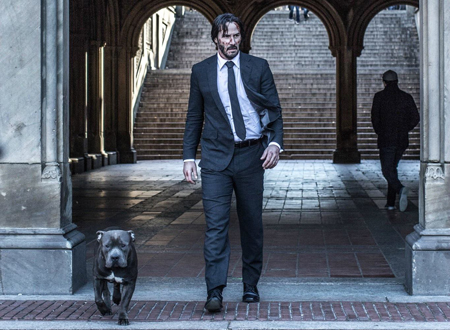 为什么经常梦到被跟踪追杀(为什么经常梦到被跟踪追杀呢)