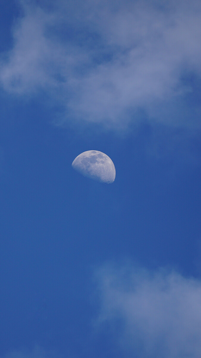 拨云(拨云见日终有时,雨霁初晴彩虹来)