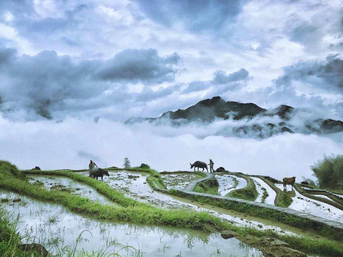 模样(模样模型的拼音)