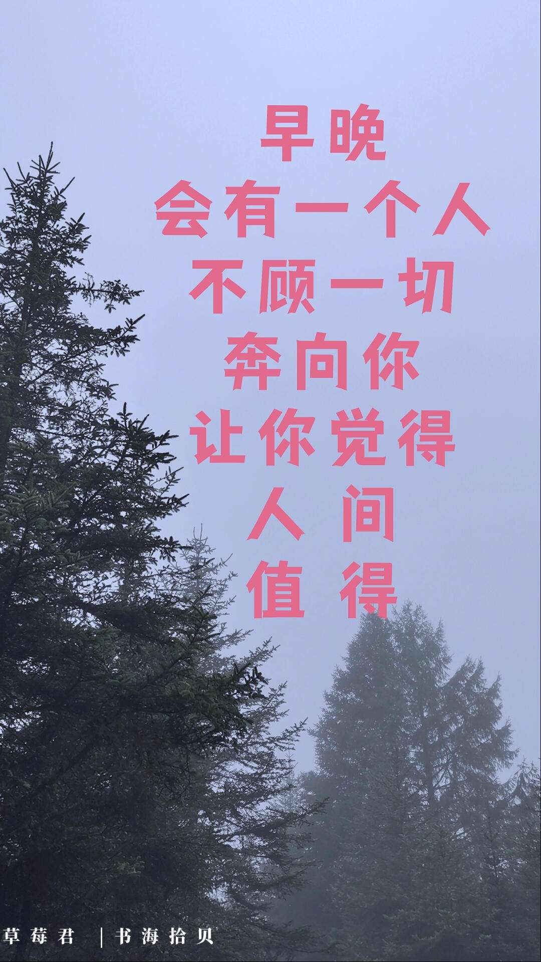 不顾一切(不顾一切的意思是什么)