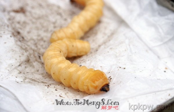 梦到自己和弟弟死了为什么(梦到自己和弟弟死了是什么意思)